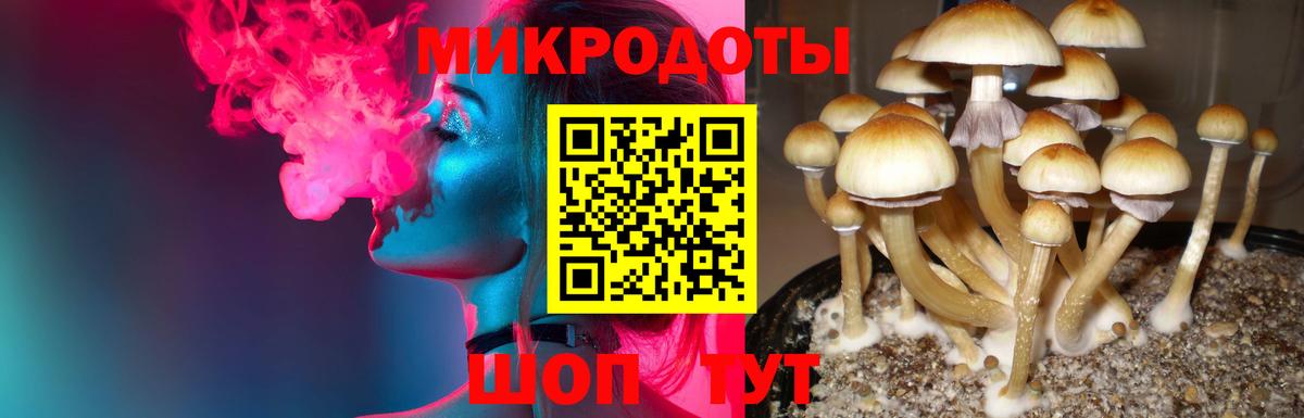 Псилоцибиновые грибы мухоморы Красноуфимск